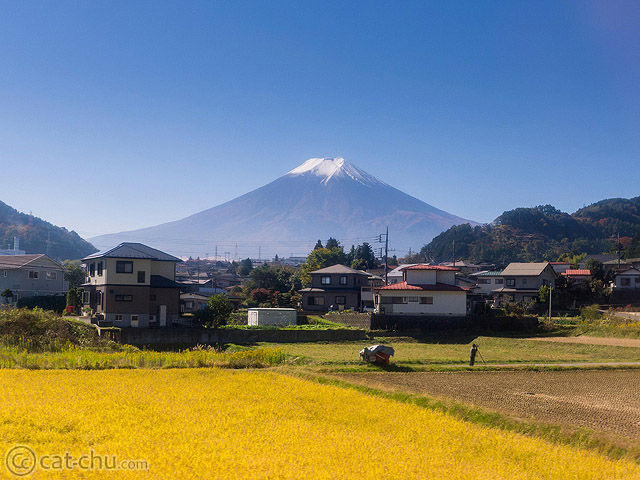 View during the train ride