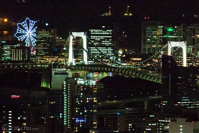 Settings: 1/30 second, f/5.6, ISO 2000